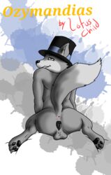 1boy anatomically_correct anatomically_correct_pussy animal_genitalia animal_pussy anthro anus ass balls canid canine canine_pussy clothing cuntboy cuntboy_focus cuntboy_only fox full-package_cuntboy furry hat headgear headwear herm hermaphrodite hi_res intersex intersex_focus intersex_only looking_at_viewer looking_back lotuschild male male_focus male_only maleherm maleherm_focus maleherm_only mammal multi_genitalia nude ozymandias_(lotuschild) penis presenting presenting_anus presenting_pussy pussy simple_background smile solo solo_focus spread_legs spreading top_hat