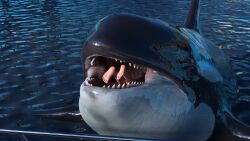 feet maw mawshot olga_kalinina orca swallowing tagme themightyhq vore