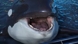 burp burping maw mawshot orca tagme themightyhq tongue vore