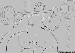 1boy 2019 5_fingers anthro ass back_muscles backsack balls barbell ben_(shiuk) biceps biped butt exercise grey_background greyscale hair hi_res long_tail male male_only mammal monochrome murid murine muscular muscular_male nude perineum rat rear_view rodent shiuk short_hair simple_background solo sweat url weightlifting workout