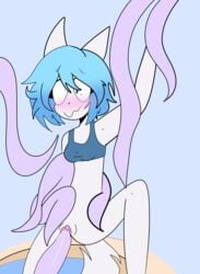 wolfychu from animation meme community