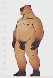 2024 anthro balls belly capybara caviid chest_tuft feet flaccid foreskin genitals grin looking_at_viewer male male_only mammal manly mature_male moobs navel nipples nude overweight penis rodent slightly_chubby smile solo standing tuft tuskyrayan