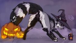 anal animal_genitalia candle canid canine canis clothing cookie female feral feral_only food fox fruit genitals grass halloween hat headgear headwear hi_res holidays magic_user mammal plant presenting pumpkin solo sweets tail taka_(artist) true_fox wet witch