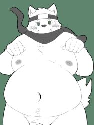 2024 anthro barely_visible_genitalia barely_visible_penis belly big_belly blush canid canine canis domestic_dog genitals green_background kemono male mammal menmen_kesinn moobs navel ninja nipples overweight overweight_male penis scarf simple_background solo warrior