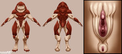 absurd_res alien anus close-up dankwart female hi_res krogan looking_at_viewer mass_effect model_sheet nude plump_labia pussy solo standing t-pose video_games