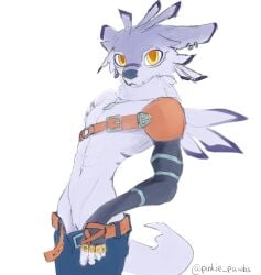 andromorph anthro armor bandai_namco canid canine clothing cuntboy digimon digimon_(species) ear_piercing hi_res intersex looking_at_viewer mammal piercing pinkie_pawbs pussy simple_background solo undressing weregarurumon white_background