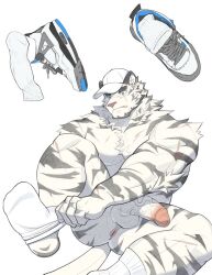 1boy animal_ears anus arknights bara baseball_cap chest_tuft completely_nude dressing fang_out furry furry_male half-erect hat huge_eyebrows large_pectorals male_focus mountain_(arknights) muscular muscular_male nude oerba_yun_fang pectorals penis scar scar_across_eye shoes short_hair sneakers socks solo spread_legs thick_eyebrows tiger_boy tiger_ears uncensored weisun_(leoooliooon) white_hair