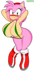 amy_rose anthro big_breasts crossnsfw curvy green_bikini habbodude sonic_(series) tight_bikini