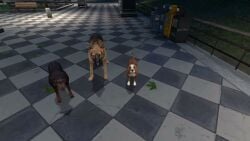 1futa 3d 3dogs big_breasts big_penis canine casual_exposure casual_nudity city cock_hungry domestic_dog feral futa_on_feral futa_pov futanari garry's_mod huge_breasts huge_cock human_on_feral imminent_bestiality imminent_fellatio imminent_gangbang imminent_oral imminent_sex imminent_zoophilia naked_futa nude_futa outdoors outside pov shorter_than_30_seconds sound tagme video video_games