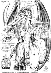 1990s 1999 20th_century abs anatomy anthro balls bone dragon english_text karabiner male male_only monochrome muscular muscular_male nude pecs penis scales skeleton solo text