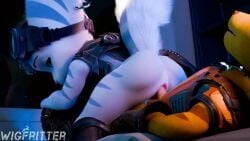 anthro anthro_on_anthro anthro_penetrated anthro_penetrating anthro_penetrating_anthro ratchet_(ratchet_and_clank) rivet_(ratchet_and_clank) tagme video wigfritter