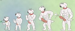 2012 animal_genitalia animal_penis balls brian_griffin canid canine canine_penis canis collar cum domestic_dog family_guy growth male male_only mammal masturbation muscle_growth muscular passer-by penis solo