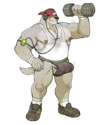 anthro backwards_hat bodily_fluids canid canine clothing dumbbell erection erection_under_clothing hat headgear headwear hi_res himbo himbofication hyenaface hypnosis jock jockstrap male male_only mammal mind_control muscular solo spiral_eyes sweat underwear weights