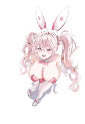 1girls alice_(nikke) alice_(wonderland_bunny)_(nikke) blush breasts bunny_ears bunnysuit cleavage female_only from_above goddess_of_victory:_nikke looking_at_viewer open_mouth pink_eyes simple_background twintails upper_teeth white_hair