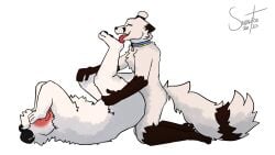 anal anal_sex anthro arctic_fox ass bear big_butt blush blushing_profusely brown_body brown_fur canid canine closed_eyes collar collar_only collar_tag colored covering covering_face digital_drawing_(artwork) digital_media_(artwork) duo feet foot_fetish foot_lick foot_play fox from_front_position fur hair hi_res hindpaw licking lying male male/male male_penetrated male_penetrating male_penetrating_male mammal markings missionary_position nude on_back open_mouth paws penetration polar_bear prey_penetrating_predator sex shaded simple_background size_difference small_dom_big_sub small_top small_top_big_bottom snow_the_arctic_fox(artist) tail tail_markings tongue true_fox ursine white_background white_body white_fur wide_hips