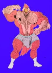 2025 5_fingers abs anthro areola arm_hair arm_tuft armpit_hair avian barazoku barely_visible_genitalia barely_visible_penis beak beak_closed belly_hair biceps big_bulge big_muscles big_pecs biped bird blue_background body_hair briefs brown_areola brown_nipples brown_penis bulge chest_hair closed_beak closed_smile clothed clothed_anthro clothed_male clothing countershade_arms countershade_face countershade_feathers countershade_legs countershade_torso countershading deltoids digital_drawing_(artwork) digital_media_(artwork) elbow_tuft feathers fingers fist flat_colors flexing flexing_bicep footwear front_view full-length_portrait genitals gloves_(marking) hairy hand_hair hand_on_hip hand_on_own_hip happy_trail hi_res huge_bulge huge_muscles humanoid_hands latissimus_dorsi leg_hair looking_at_viewer male male_anthro manly markings monotone_background mouth_closed multicolored_body multicolored_feathers muscular muscular_anthro muscular_arms muscular_male muscular_thighs navel navi_(navisdx) nipples non-mammal_navel non-mammal_nipples outline pecs penis pink_body pink_feathers plantigrade portrait quads red_body red_eyes red_feathers sharf shoulder_hair signature simple_background smile smiling_at_viewer socks solo standing stubble tail tail_feathers topless topless_anthro topless_male triceps tuft two_tone_body two_tone_feathers underwear vein veiny_penis white_outline yellow_beak