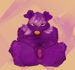 ambiguous_gender anthro big_clitoris canid canine canis clitoris domestic_dog genitals hi_res lips lupiexo mammal mullet overweight pink_lips presenting presenting_vulva thick_thighs trans_(lore) trans_man_(lore) vulva