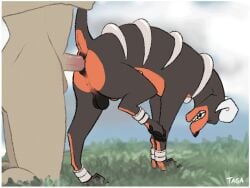 anal anal_sex animated anus balls bestiality black_anus black_body black_fur canid canine duo feral flaccid fur generation_2_pokemon genitals grass horn houndoom human looking_pleasured male male/male mammal nintendo one_leg_up open_mouth outside penetration penis plant pokemon pokemon_(species) pokephilia raised_leg saggy_balls spikes taga tail tail_grab