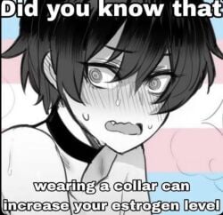 1boy 1femboy black_choker blush choker collar embarrassed estrogen estrogened_male femboy flag information learning open_mouth penetrating sweating sweaty_face text