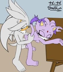 2020 absurd_res anthro bent_over blaze_the_cat blush blush_lines breasts domestic_cat duo eulipotyphlan felid feline felis female fluffy fluffy_chest forehead_gem from_behind_position gem hand_on_butt hedgehog hi_res high-angle_view male male/female mammal over_table penetration penile penile_penetration penis_in_vagina purple_body sega sex shadkun silver_the_hedgehog sonic_the_hedgehog_(series) standing standing_doggystyle standing_sex tail tail_grab vaginal_penetration white_body yellow_eyes