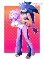 anthro arm_grab balls balls_deep blaze_the_cat blush breasts closed_eyes dialogue doggy_style domestic_cat duo ears_back eulipotyphlan felid feline felis female from_behind_position genitals hair_down hedgehog hero hi_res long_legs looking_pleasured male male/female mammal nipples nude penetration pivoted_ears plap princess royalty sega sex sonic_the_hedgehog sonic_the_hedgehog_(series) standing standing_doggystyle standing_sex stomach_bulge tiptoes vaginal_penetration zerokdl