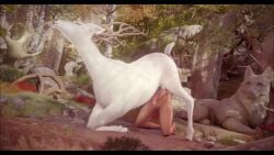 deer elf rimming tagme video zoophilia