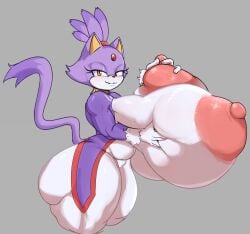 blaze the cat from sega by jojojiva