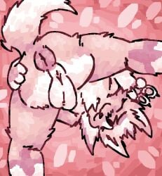anthro anus ass backsack balls blush blush_lines canid canine chest_tuft fluffy fluffy_ears genitals hi_res looking_at_viewer male mammal multicolored_body one_eye_closed pawpads paws peace_symbol pink_background pink_body pink_pawpads presenting presenting_hindquarters puffy_anus raised_leg rear_view scaliescum simple_background solo standing tuft white_balls white_body wink winking_at_viewer