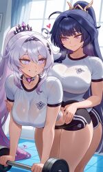 Honkai (Series) Rule 34 Image