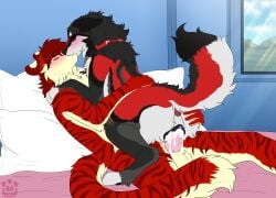 2025 animal_genitalia animal_vulva anthro anthro_on_feral anthro_penetrating anthro_penetrating_feral anus artist_logo artist_name barndog bed bedroom_sex bestiality biped black_body black_fur blush bodily_fluids butt butt_grab canid canine canine_genitalia canine_vulva canis collar countershading cum cum_in_vagina cum_inside cum_on_own_penis cum_on_penis cum_on_self day digital_drawing_(artwork) digital_media_(artwork) duo ejaculation eyes_closed felid female female_on_anthro feral feral_penetrated fur furniture genital_fluids genitals grey_body grey_fur hand_on_butt hi_res interspecies kissing_while_penetrated kissing_while_penetrating logo lying lying_on_bed male male/female male_on_feral mammal multicolored_body multicolored_fur nude_anthro nude_male on_bed pantherine paws penetration penile penile_penetration penis penis_in_vagina pillow pivoted_ears quadruped red_body red_fur sex side_view slim slim_anthro slim_male striped_body striped_fur stripes tan_body tan_countershading tan_fur text tiger vaginal vaginal_penetration vulva white_body white_countershading window wolf