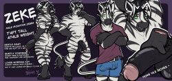 anthro balls big_balls big_penis bodily_fluids equid equine genital_fluids genitals hi_res huge_cock humanoid_genitalia humanoid_penis male mammal model_sheet muscular muscular_anthro muscular_male penis precum reference_image solo tenkellyart zebra