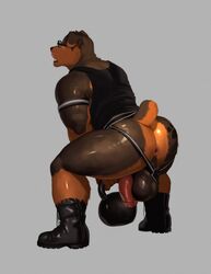 anthro ass backsack balls big_balls boots canid canine canis clothing clothing_aside domestic_dog eyewear flaccid footwear glasses hi_res humanoid_penis jockstrap kristakeshi male male_only mammal mastiff molosser muscular muscular_male open_mouth penis rennin rottweiler shirt solo tank_top topwear underwear underwear_aside