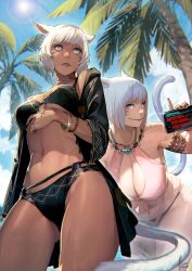 2girls bikini breasts cat_girl catgirl clothed clothed_female dark-skinned_female dark_skin f'lhaminn final_fantasy final_fantasy_xiv kuroichigo light-skinned_female light_skin miqo'te neutral_expression short_hair smile smiling smiling_at_viewer swimsuit swimwear video_game_character white_hair y'shtola yoshida