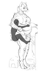 Booru post from rule34.xxx