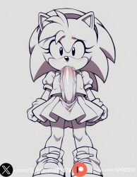 Sonic (Series) Rule 34 Image