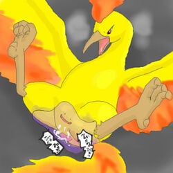 ditto male/ambiguous moltres nintendo pokemon pokemon_(species) tagme