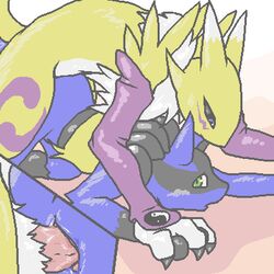 9_6 crossover digimon lucario pokemon pokemon_(species) renamon