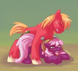 2012 big_macintosh_(mlp) blush cheerilee_(mlp) cutie_mark earth_pony equine female feral freckles friendship_is_magic from_behind fur horse male mlpfwb my_little_pony penetration pony sex straight two_tone_hair