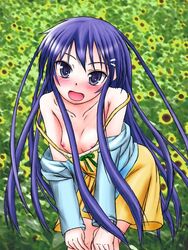 akiba_rika blue_eyes blue_hair blush boobs breasts flower haijin hair_ornament hairclip hanbun_no_tsuki_ga_noboru_sora hand_on_knee knees_touching long_hair nipple_slip nipples ribbon skirt solo sunflowers tits