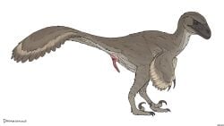 2025 anatomically_correct animal_genitalia black_claws black_face brown_body brown_eyes claws cloaca cloacal_penis countershading digital_media_(artwork) dinosaur dromaeosaurid dromaeosaurus erection feathered_dinosaur feathered_scalie feathers feral genitals hi_res looking_at_viewer male penis pink_penis prehistoric_species pubic_boot raised_tail red_penis reptile scalie seminal_groove side_view simple_background small_penis solo tail tail_fan theropod three-quarter_view white_background winged_arms wings zw3