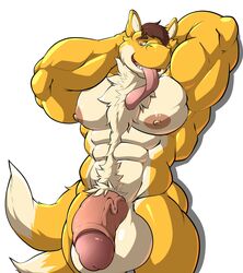 abs balls big_balls big_penis canid canine flaccid fox hi_res humanoid_penis hybrid long_tongue maldu male male_only mammal mario_(series) multi_tail muscular muscular_male nintendo nipples nude pecs penis portrait simple_background solo three-quarter_portrait tongue tongue_out video_games white_background yoshi yoshils_(character)