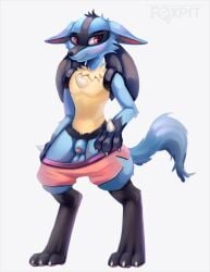 absurd_res balls bottomwear clothing embarrassed foxpit generation_4_pokemon genitals hi_res lucario male nintendo pants penis pokemon pokemon_(species) shy simple_background solo tail