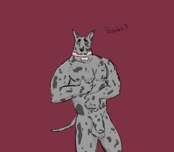 animal_genitalia animal_humanoid animal_penis anthro balls big_balls big_breasts big_pecs body_grab bouncing_balls breast_fondling breast_play breast_squeeze breasts brindle_coat bulge canid canid_humanoid canine canine_genitalia canine_humanoid canine_penis canis collar collar_only dick_swing dickinoatmeal dog_humanoid domestic_dog fondling fully_sheathed genitals great_dane hand_on_body hand_on_breast hi_res humanoid male mammal mammal_humanoid markings mastiff molosser muscular muscular_male nipples nude nude_anthro nude_male pecs penis sheath solo spots spotted_body spotted_markings squeezing tail