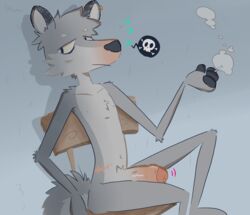 2019 beez canid canine canis chair cigar erection foxxx321 hi_res humanoid_penis male male_only mammal nude penis piercing sitting solo wolf