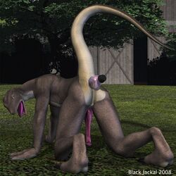 1:1 2008 3d anal anal_masturbation anthro black_jackal dildo erection lizard lizzy male male_only masturbation penis raised_tail reptile scalie sex_toy