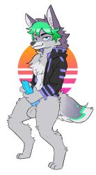 absurd_res anthro canid canine canis hi_res jackal male mammal raiko_(raikobean) solo wolf