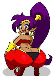 1girls ass ass_focus big_ass big_butt blue_eyes broly_culo brown_skin butt_crack butt_focus dark_skin dark_skinned_female earrings fat_ass female female_only genie jutsapostion pointy_ears purple_hair shantae shantae_(character) smile solo squatting squatting_female squatting_position