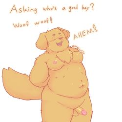 1:1 anthro balls bfkitsu1550 blush canid canine canis domestic_dog erection hi_res humanoid_penis male male_only mammal moobs navel open_mouth penis simple_background solo standing text