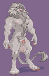 animal_genitalia anthro balls big_balls felid fur hair humanoid_penis leucistic lion looking_at_viewer male male_only mammal muscular muscular_male nude pantherine penis precum rokemi sheath solo standing