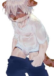 anthro blonde_hair briefs bulge clothing domestic_cat felid feline felis fur hair hi_res hkl9917462 male male_only mammal shirt solo t-shirt teenager topwear underwear undressing wet wet_clothing wet_fur white_underwear young